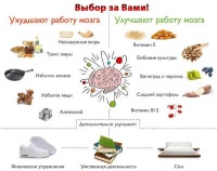 График работы психолога