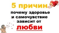 Кажется, что любовь — уникальное чувство, которое доступно людям