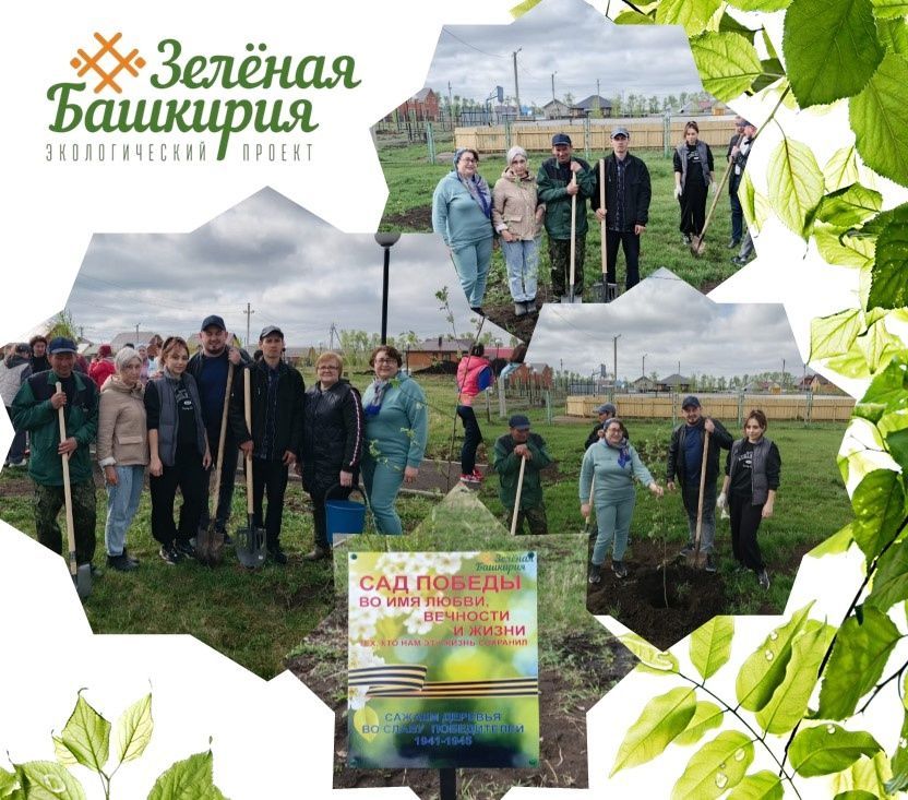 Посадить дерево - значит подарить жизнь!