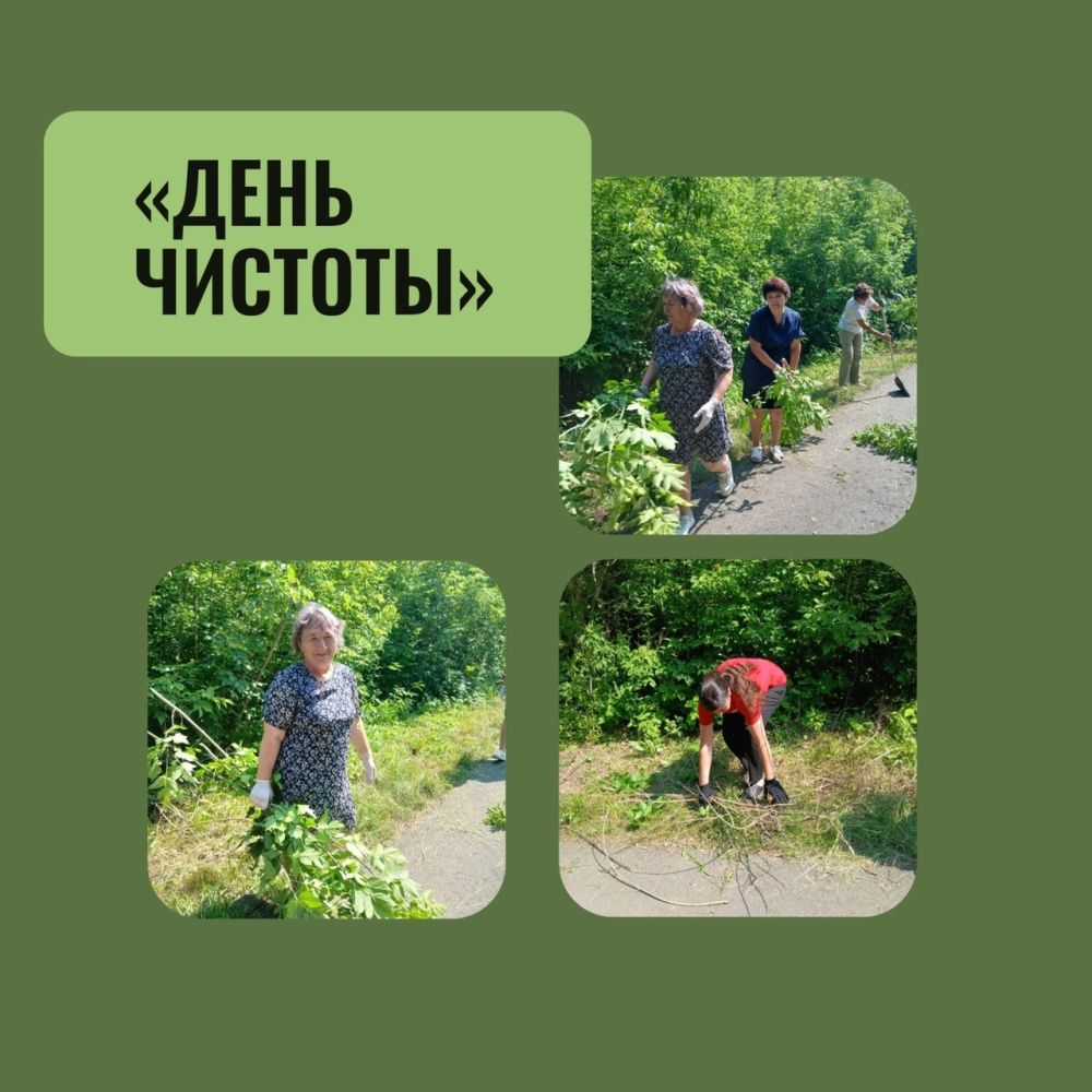 Акция "День Чистоты"
